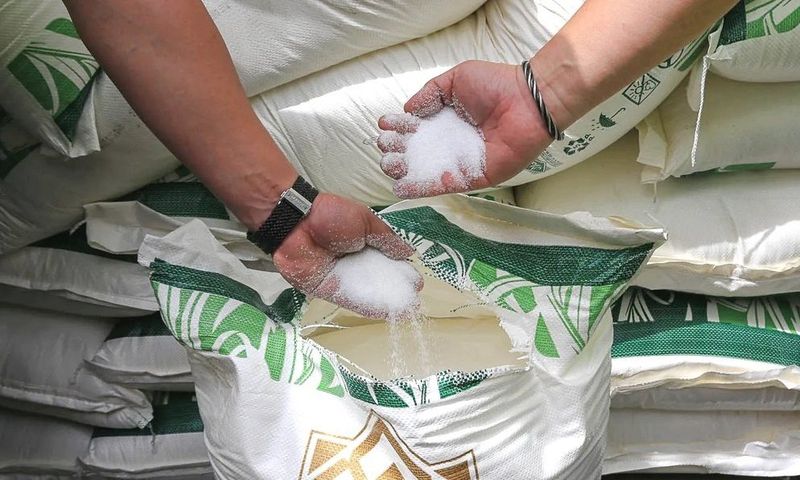 Chuẩn bị nhập khẩu 119.000 tấn đường theo phương thức đấu giá